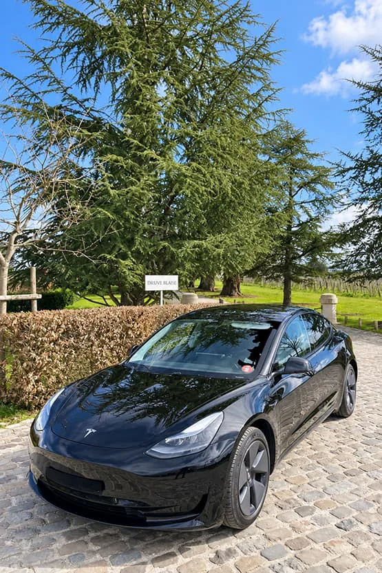 Tesla noire stationnée sur une allée pavée bordée d’arbres.
